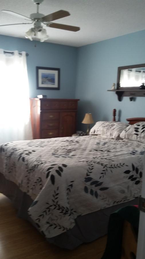 Aggie'S B&B Bonavista Quarto foto